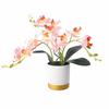 Цветок Фаленопсис Искусственные Цветы Имитация Бонсай Орхидея Новая Поддельная Фаленопсис
