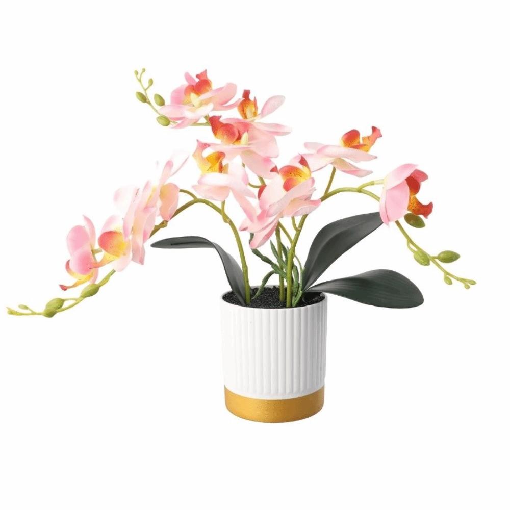 Цветок Фаленопсис Искусственные Цветы Имитация Бонсай Орхидея Новая Поддельная Фаленопсис