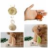 Dumplings Simulation Food Keychain Mini  Trend   Bag Jewelry