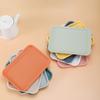Useful Nordic Style Pack Food Portable Unbreakable Fruit Storage Tray for Dining Room Fruit Storage Tray