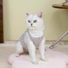 Summer Thin Cool and Breathable Cat Clothes Blue Cat Puppet Cat Pet Cat Anti-hair Loss Comfortable Pet Vest