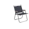 ZISIZ Outdoor Folding Camping Kermit Chair