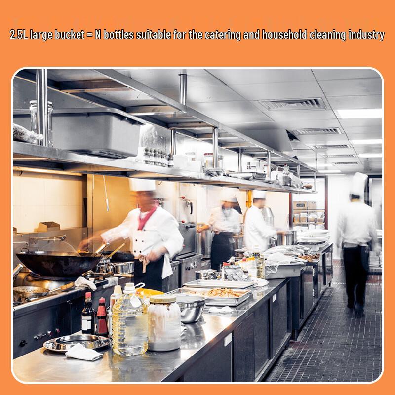 Heavy Duty Commercial Kitchen Degreaser
