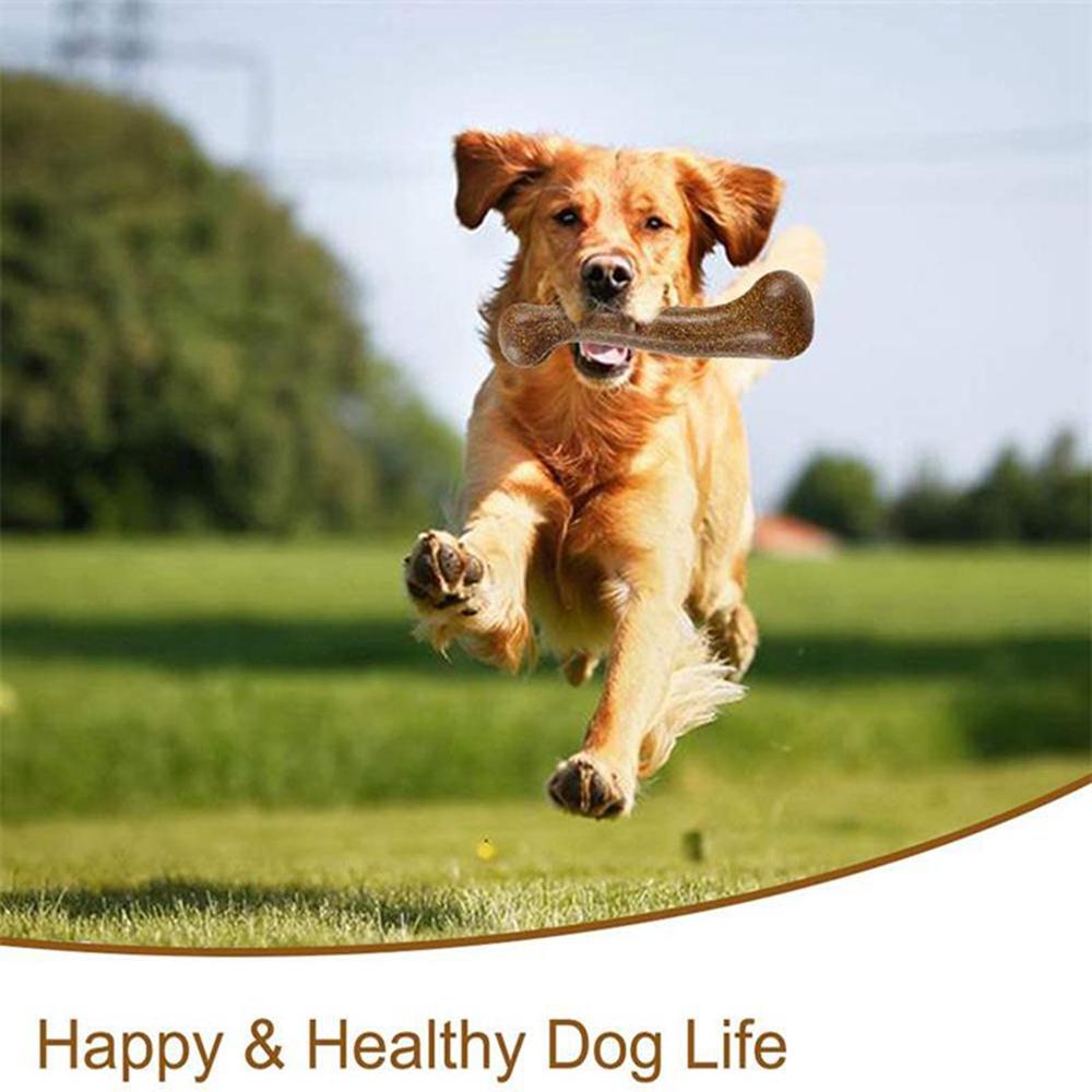 Durable Aggressive Pet Supplies Teeth Cleaning Tool Dog Bone Pet Toy Dog Chew Toy Puppy Bones