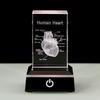 3D Лазерная гравировка Хрустальная модель человеческих органов Анатомическое Сердце/Зубы Фигурки Стеклянная пресс-папье со светодиодной подставкой Доктор