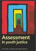 Книга Assessment In Youth Justice