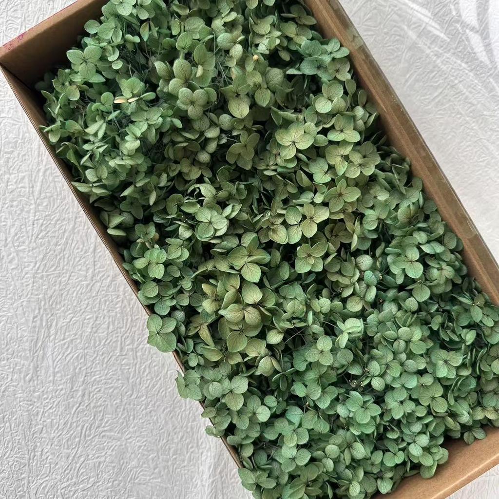 Eternal Hydrangea Dried Petals - Craft, Decor, Gift Accessory