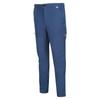 Regatta Mens Questra IV Hiking Trousers