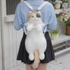 Милый плюшевый рюкзак с кошкой, модная мягкая сумка с мягкими игрушками для любителей кошек, детский рюкзак для девочек, кошелек, легкий, повседневный, подарок на день рождения