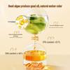 Xin Yi San Jiu Infant DHA Seaweed Oil