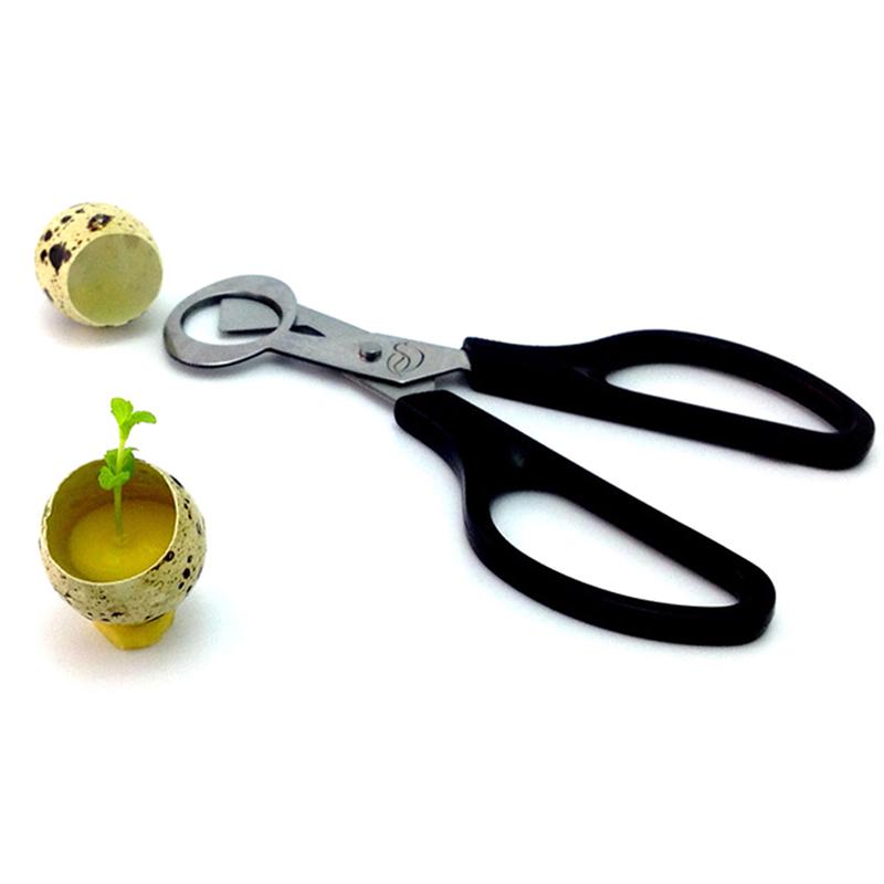 Ножницы для голубей и перепелиных яиц, ножницы для резки птиц, открывалка для яиц, кухонный инструмент, машинка для стрижки