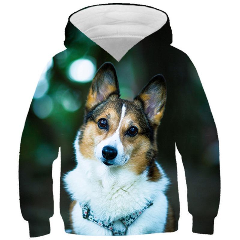 Осенние толстовки с 3D-принтом в виде животных, модные повседневные спортивные толстовки с длинным рукавом для детей и мальчиков