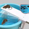 Mice Pest Rodent Mouse Seesaw Traps Walk Plank Mousetrap Bait Catcher Tool