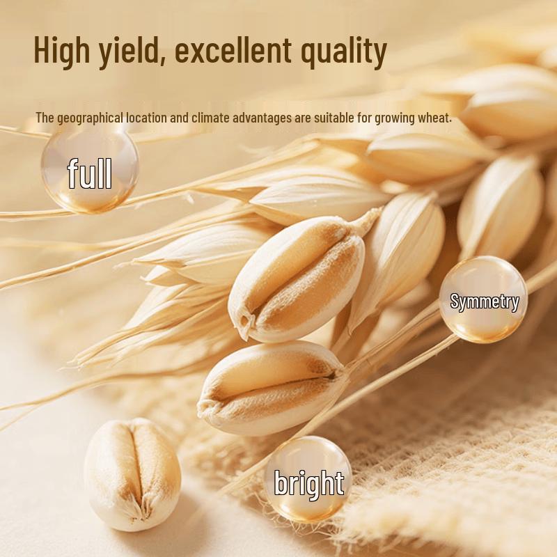 Tumu Xiang Snowflake Wheat Flour 5kg