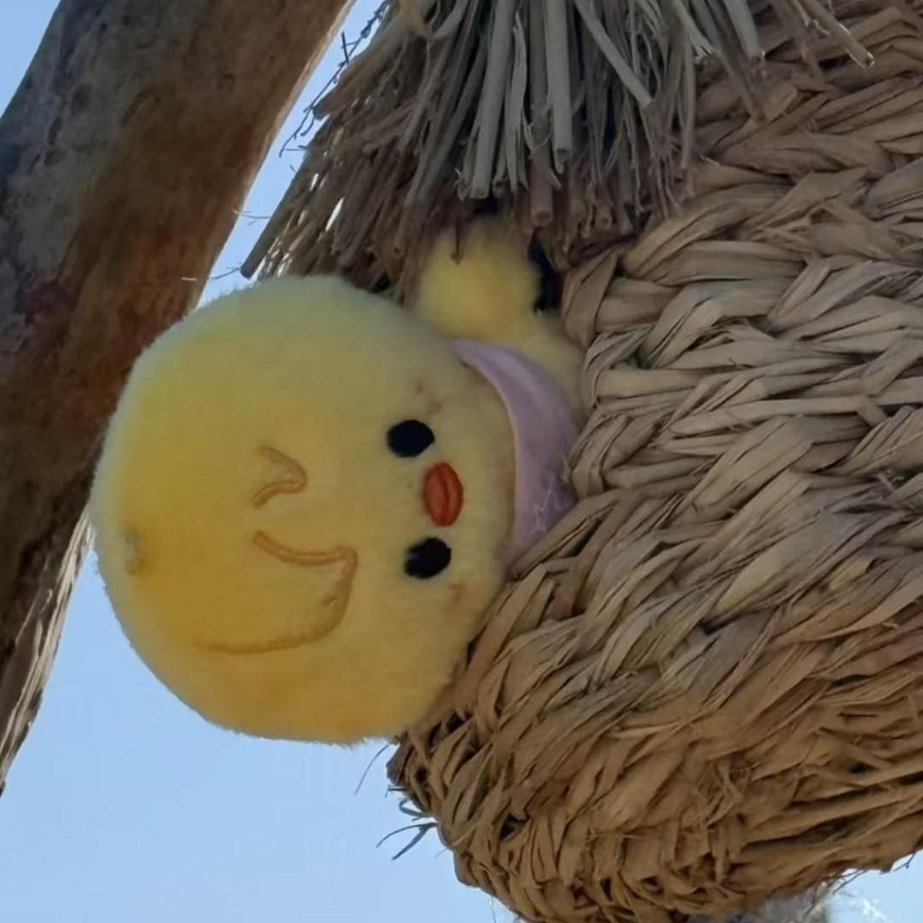 Stray Kids SKZ 5'CLOCK Official Merchandise - SKZOO Plush (10CM Ver.)