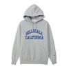Champion Basic Long Sleeve Hooded Sweatshirt with Graphic Oxford Size XL Men's Fleece-Lined Print, Gray, (C3-Z108)