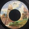 7-дюймовая пластинка BACHMAN-TURNER OVERDRIVE - Hey You 73683 Mercury 1975 США Рок Б/У
