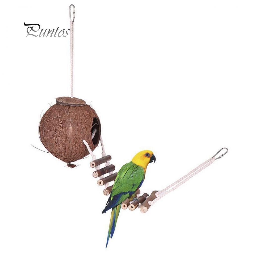Natural Coconut Shell Parrot Nest Parakeet Birds Feeder Pets Toy with Ladder
