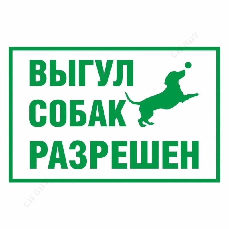 Металлическая табличка «Выгул собак запрещен», табличка для мастерской 20x30 см