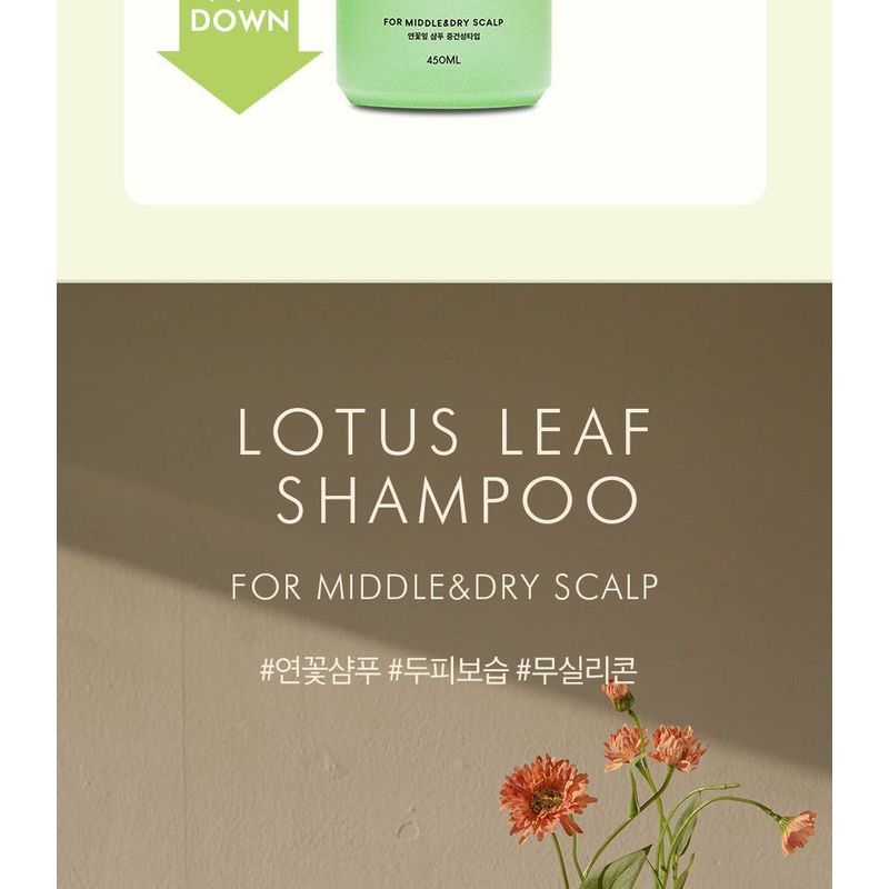 THE PURE LOTUS Шампунь с листьями лотоса для средней и сухой кожи головы Jumbo