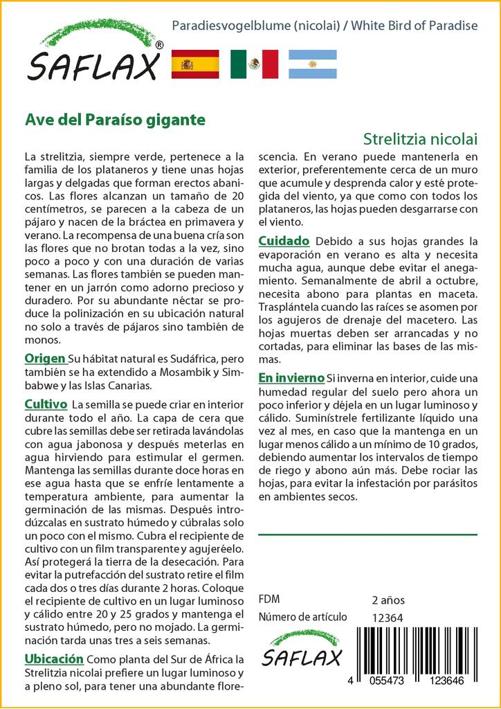 SAFLAX White Bird of Paradise - 5 семян - С горшечным субстратом для лучшего выращивания - Strelitzia nicolai