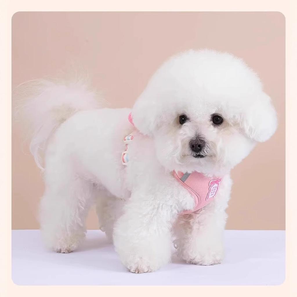 Бантик Поводок для собаки Летний Прохладный Собачий Нагрудный рюкзак Уличная Милая Веревка для выгула собаки Нагрудный рюкзак(Синий-XL)