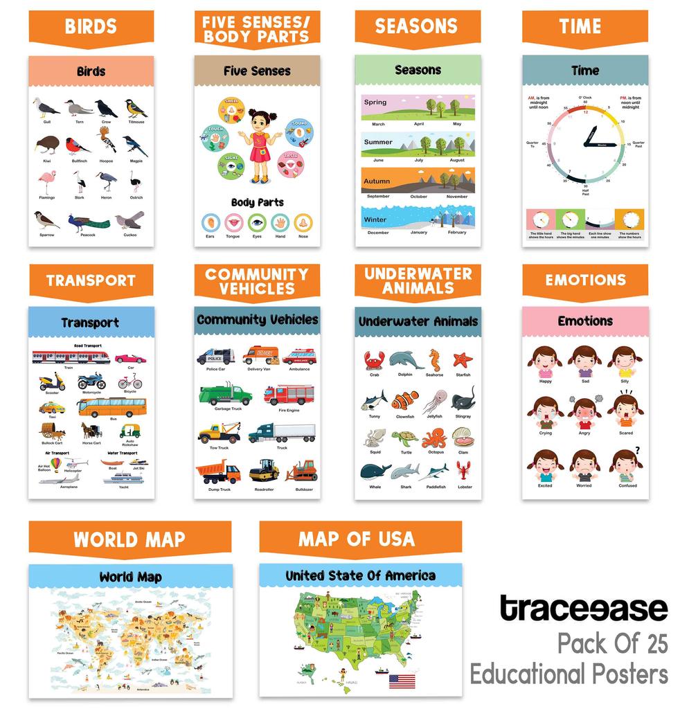 Traceease Образовательный плакат для начальной школы, упаковка из 25 ламинированных детских обучающих плакатов, отлично подходит для домашнего обучения в классе