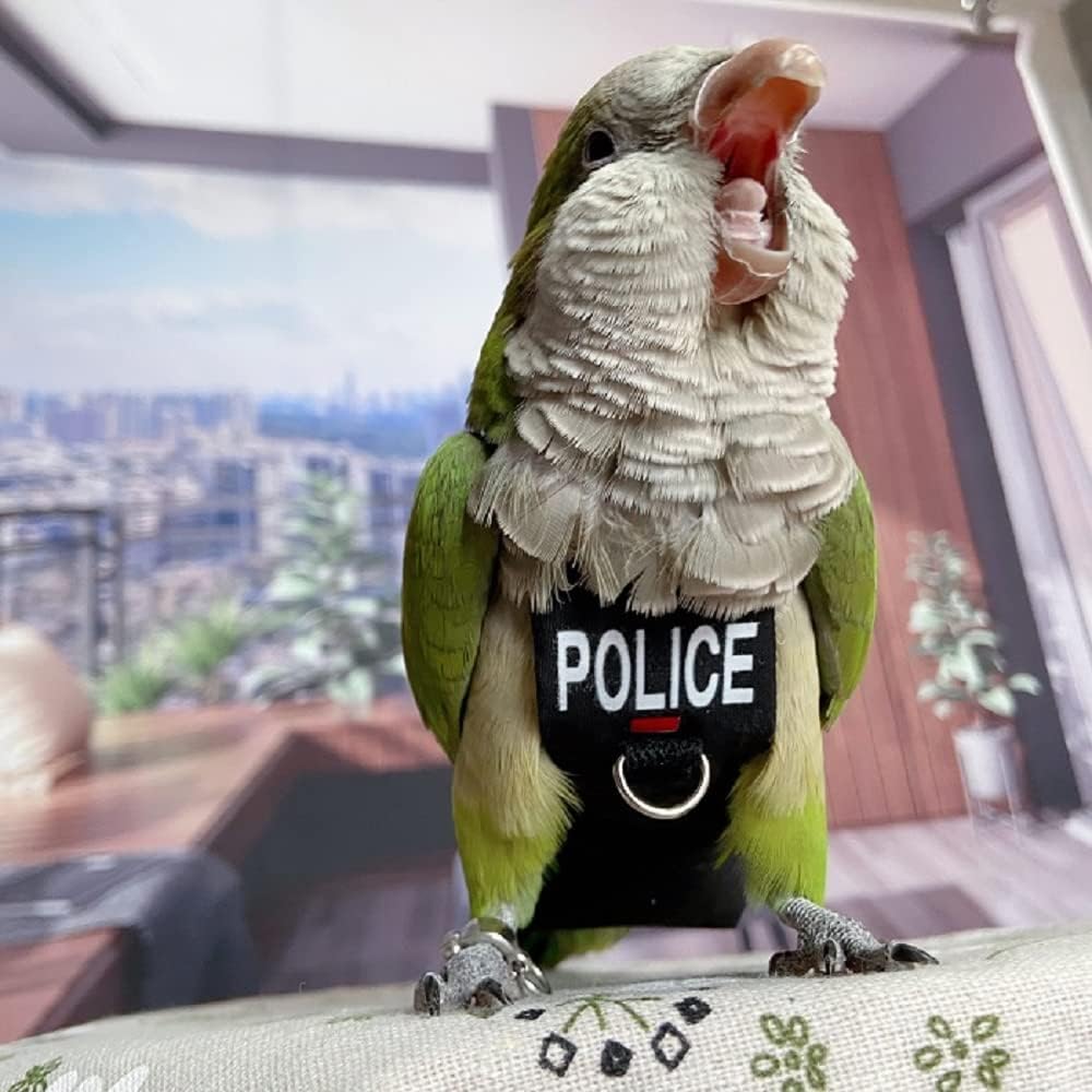 Bird Clothes Parrot Diapers Bird Flight Suits, Reble Waterproof Diapers pet Bird Supplies (2XL)