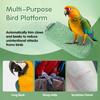 3Pcs Beak Grinder for Birds: Parakeet Beak Grinding Stone&Nail Trimming Perch-Flat Perches for Bird Cages,Budgie Cage Accessories