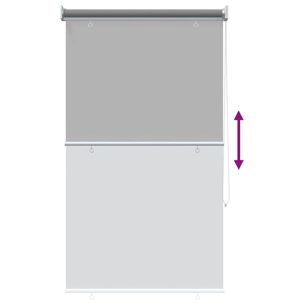 Outdoor Roller Blinds with UV Protection Light Grey 100 x 140 cm