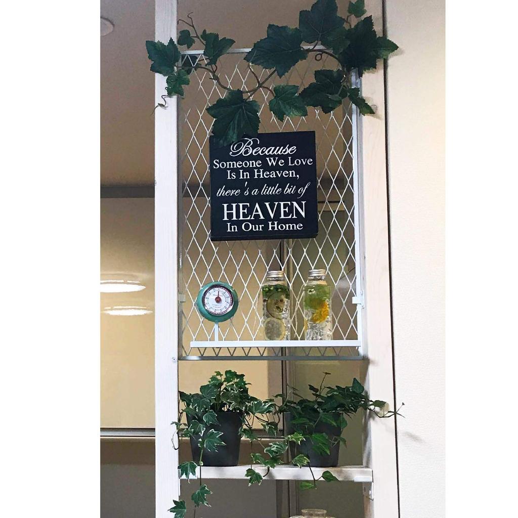 Waki Sangyo Панель Lacety Белый Глубина x Высота x Ширина 28см 0.7 55.5 LAC-001