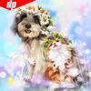 5D DIY Полный круглый животных Собака Алмазная картина Вышивка Продажа Алмазная мозаика Изображение Rhinestone