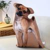 Плюшевая игрушка Кошка и Собака - Подушка Корги Чихуахуа и Тряпичная кукла