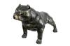 American Bully - Life-size Dog Statue, 1:1 Scale Figure, Statue for the Garden by