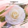 Syoss Camellia Oil Nourishing Repair Shampoo