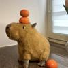 Simulation Kapibara Doll Capybara Doll Simulation Plush Toy Rag Doll Children Ugly Cute Birthday Gift