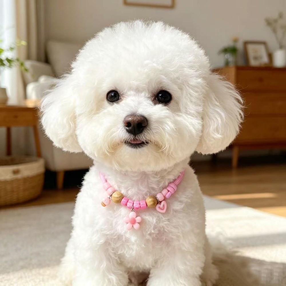 Safe Buckle Cat Collar Mosquito Prevent Pets Accessories Color Contrast Dog Collar Outdoor Use