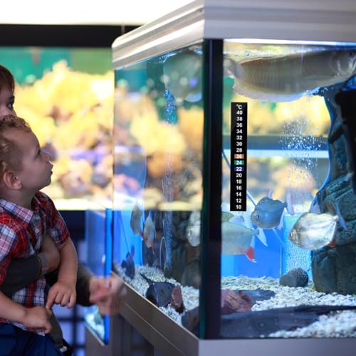 POPETPOP Наклейки-термометры для воды, набор из 10 штук, цветные LCD-полоски для измерения температуры для аквариумов, аквариумов и Magazine Temperatur