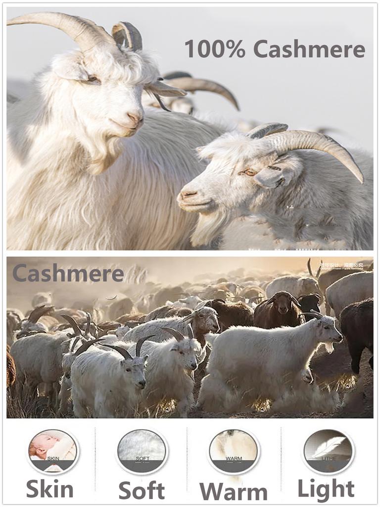 Solid Color 100% Cashmere Thickened Knitted Mid-Length Scarf Winter Fashionable Warm Unisex Scarf for Couples Festival Gift