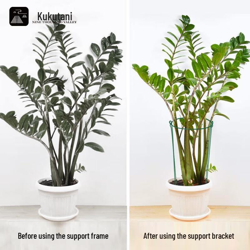 Garden Plant Support Stakes & Frames