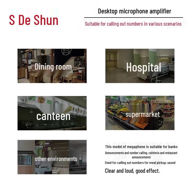 DESHUN Commercial Horn Megaphone System (CN version)