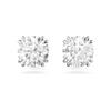 5636712 Constella Stud Earrings