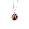 Natural 5 Mukhi Rudraksha 925 Siver Pendant - Nepali Origin | Bead For Peace, Focus & Spiritual Growth | Organic & Lab Certified