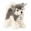 Steiff Kids Barney the 104985 Husky, 17cm,