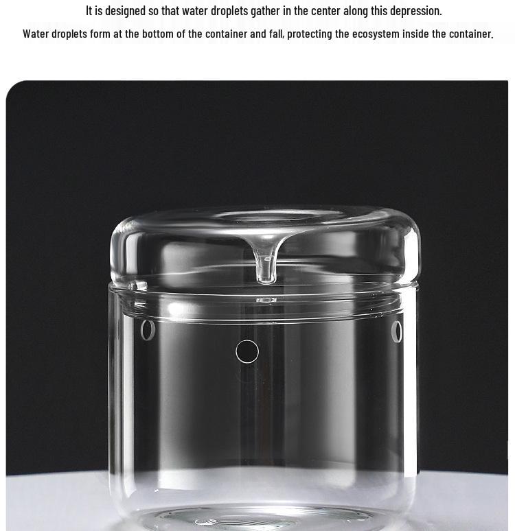 Dew Collection Mini Ecosystem: Moss Terrarium Glass Cover Decor