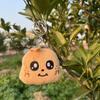 Classic Character Plush Pendants, Gifts, Toys, Plush Ornaments,1pc,Plush Keychain, Cute Backpack Pendant, Couple Gift