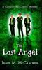 The The Lost Angel : 4 Book