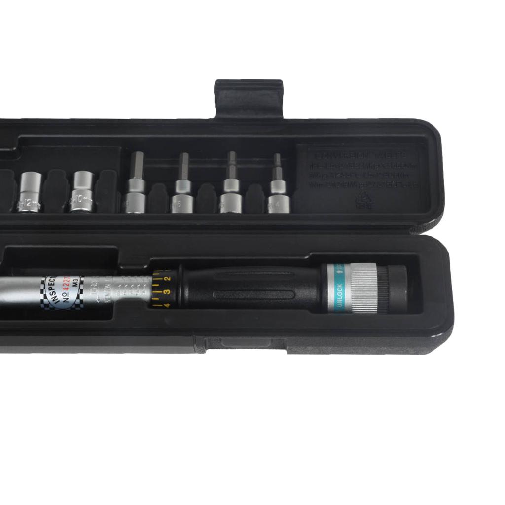 Torque Wrench 3/8"", 20 - 110 Nm + Sockets