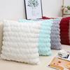Modern Simple Pillow Plush Fall/Winter Pillow Living Room Sofa Love Cushion Pillow Case