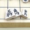 Tendo Shogi Wooden Carved Pieces In Official White Camellia Comes In a Paulownia Instructions On How To Move the Pieces Included Pieces, Style,